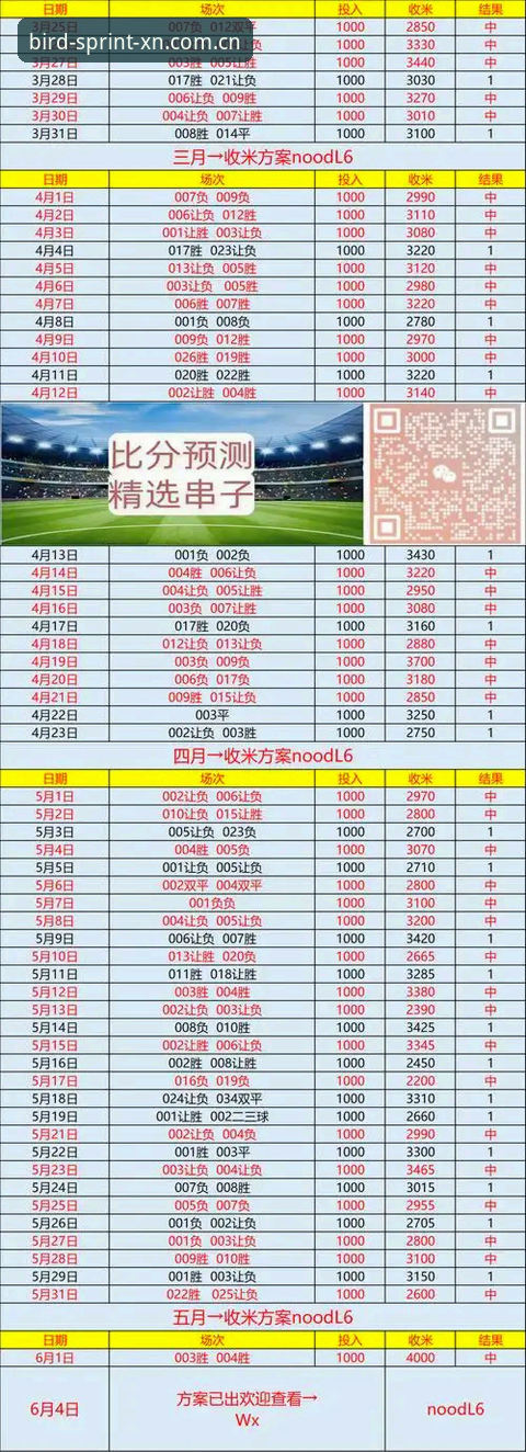 小鸟体育全球赛事深度评测：从赛事盘口到即时比分的全方位体验报告